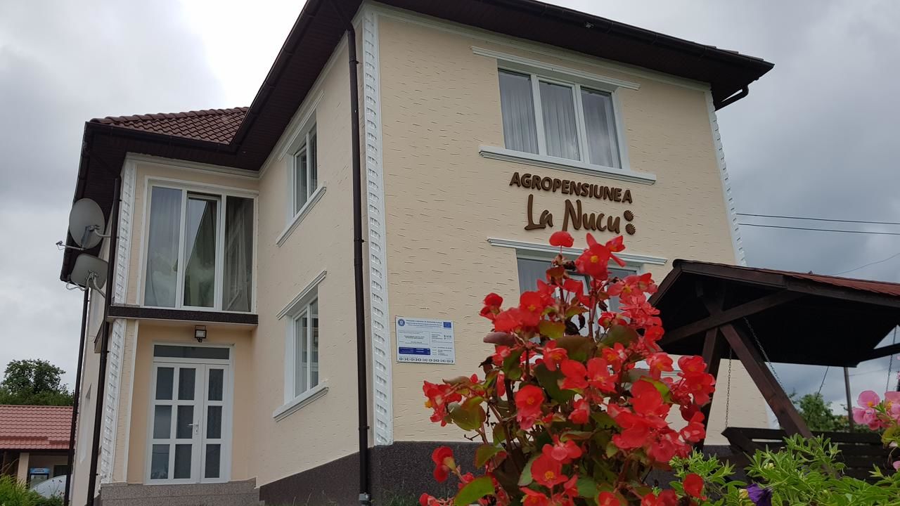 Гостевой дом Pensiunea La Nucu Şieu-4