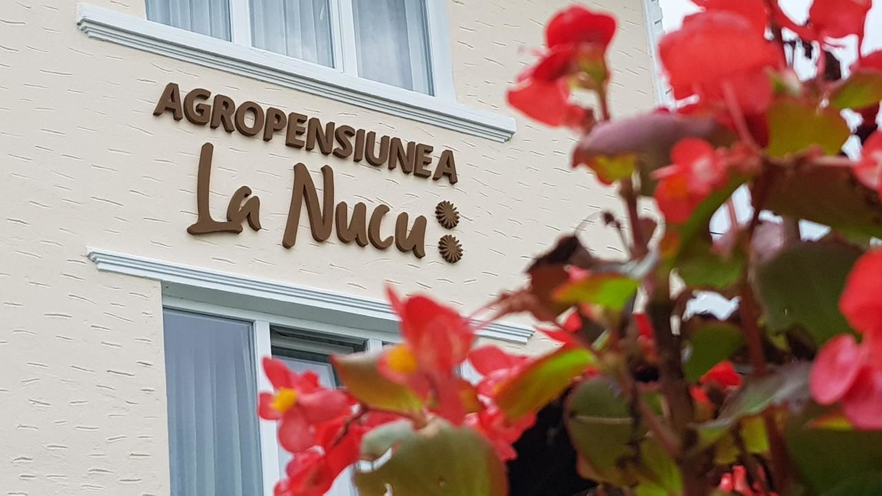 Гостевой дом Pensiunea La Nucu Şieu-5