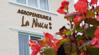 Гостевой дом Pensiunea La Nucu Şieu-1